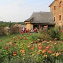 37-IMG_3650